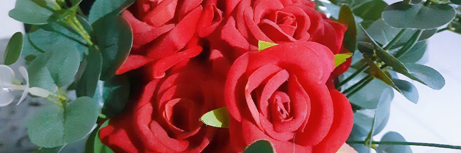 AuliaRicci's profile banner image