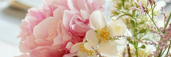 petalsnflutter's profile banner image