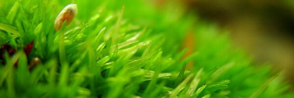 RECICLACCION Profile Banner