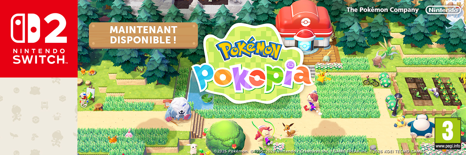 Nintendo Belgique banner