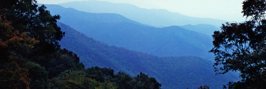 rbeccaleesmith's profile banner image
