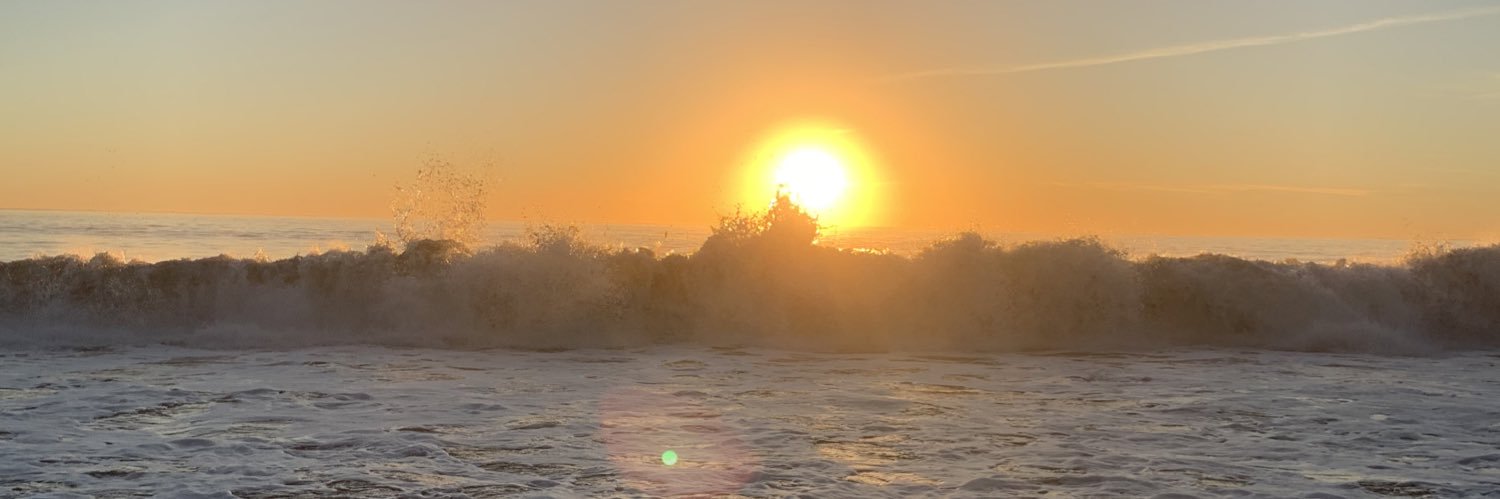 WavyR3l's profile banner image