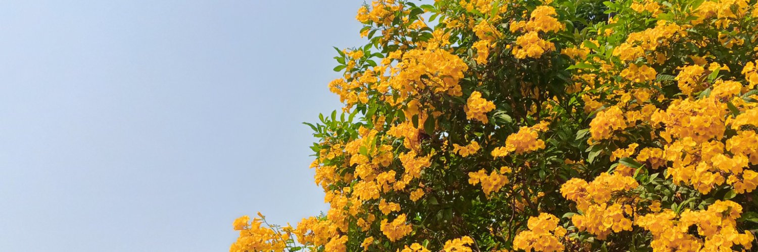 bartzellaint's profile banner image