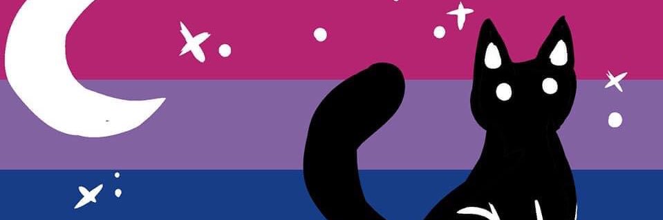 🇮🇪BIDEN CAUSED your student loan issues🔥it⬇️🕊☭ banner