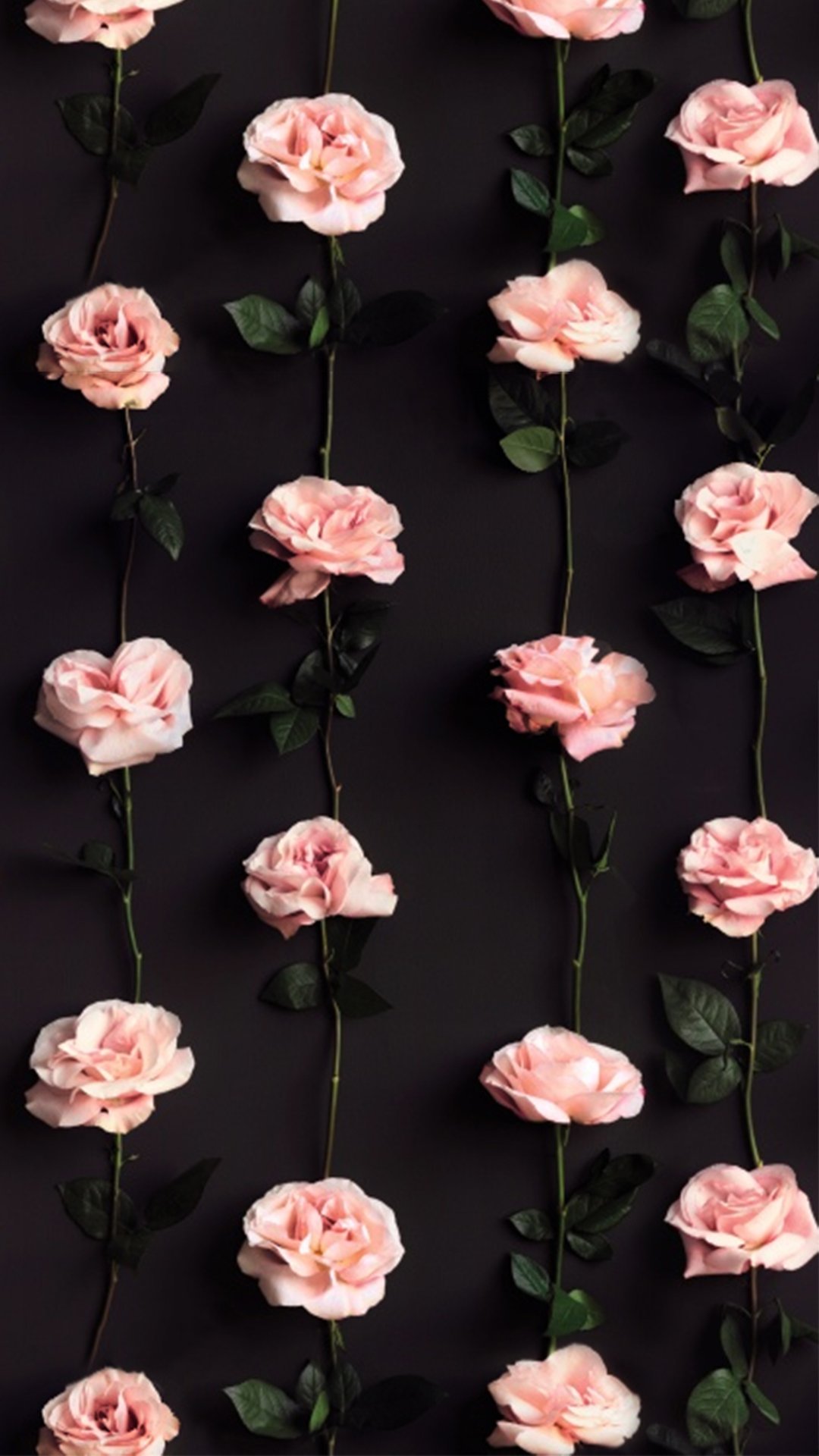 Likewhaaaaaaatt's profile banner image