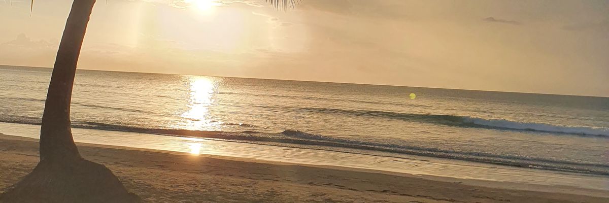 MagalyToribio's profile banner image