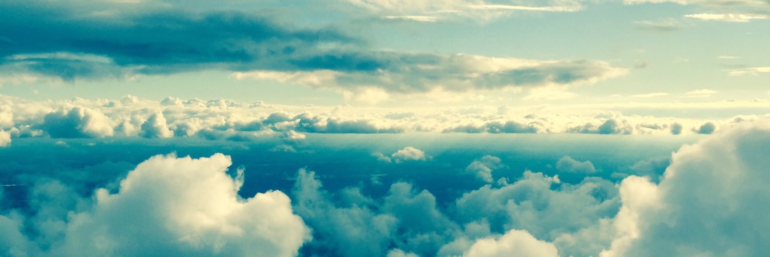 🇺🇸 🇮🇪 ☘️Reene 🇮🇹 🍷🇺🇸 banner