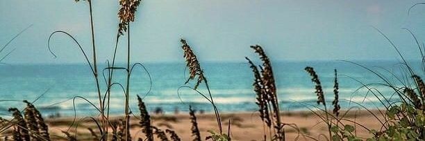 lighthousegirl2's profile banner image