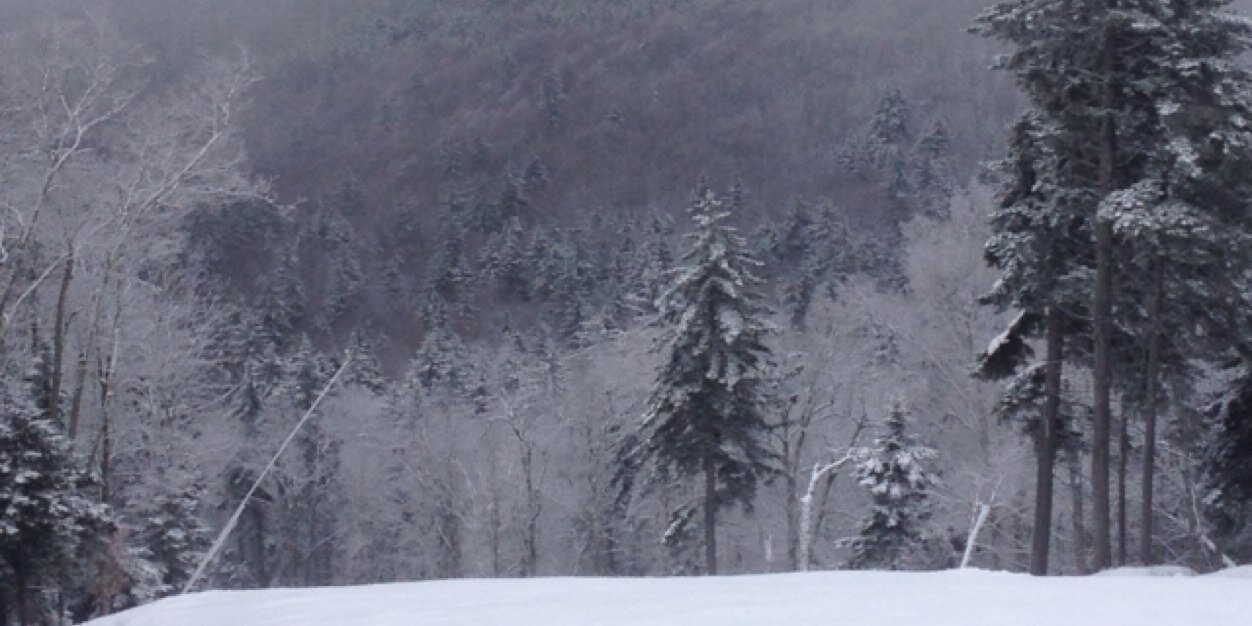 danieladamss's profile banner image