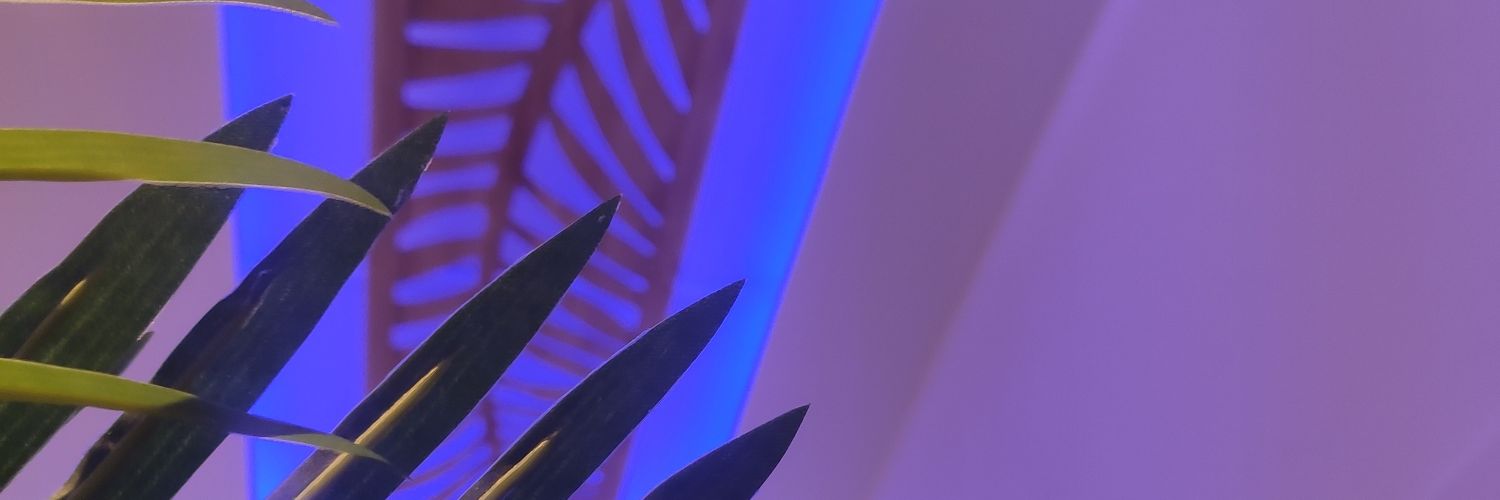 DarushkaP's profile banner image