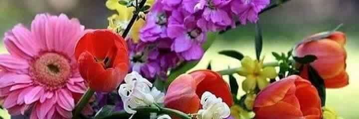 pakstan_osman's profile banner image