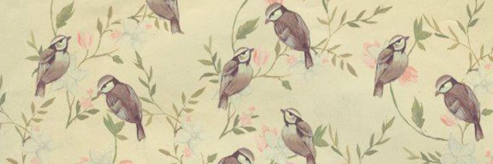 xoamy's profile banner image