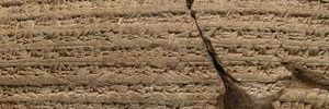 nader74's profile banner image