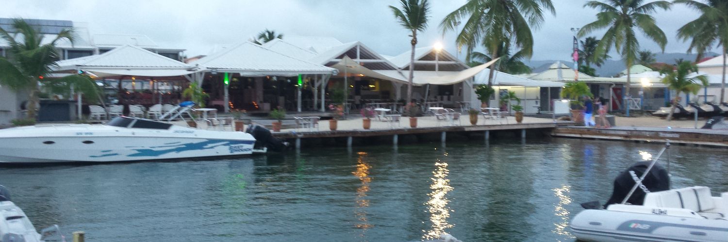 Will" 🇳🇺 banner