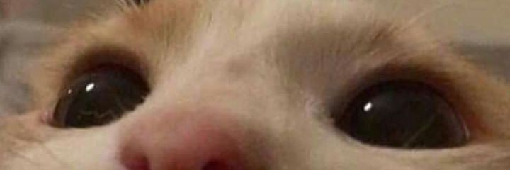 motorjebey's profile banner image