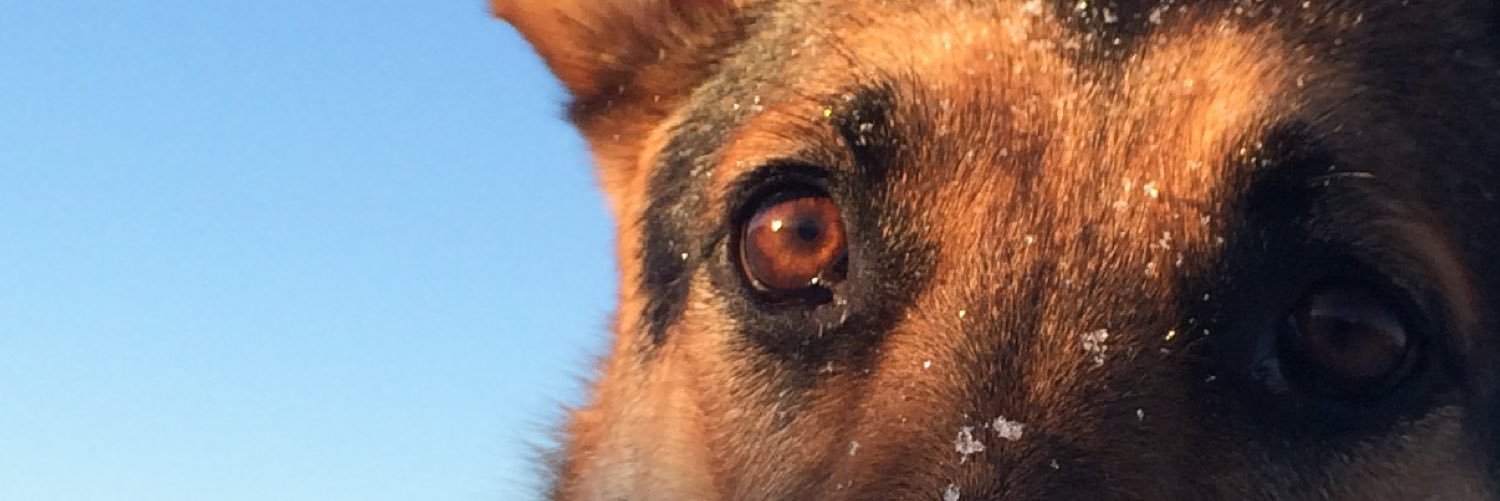 SGaulrapp's profile banner image