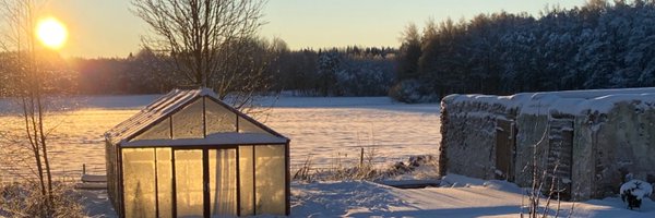 certifikat Profile Banner