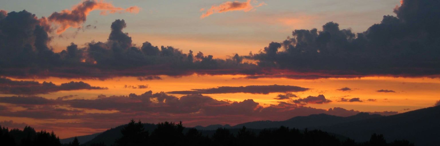 neforli0812's profile banner image