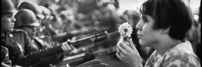 sergiowoodall's profile banner image