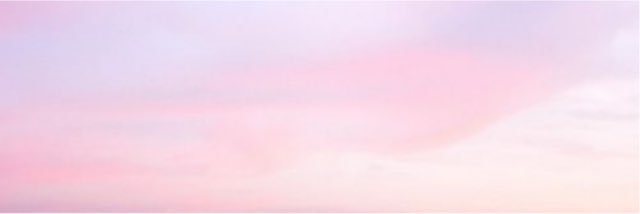 wordsforsuga's profile banner image
