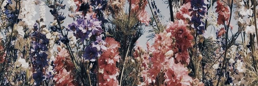 jettiestrand's profile banner image