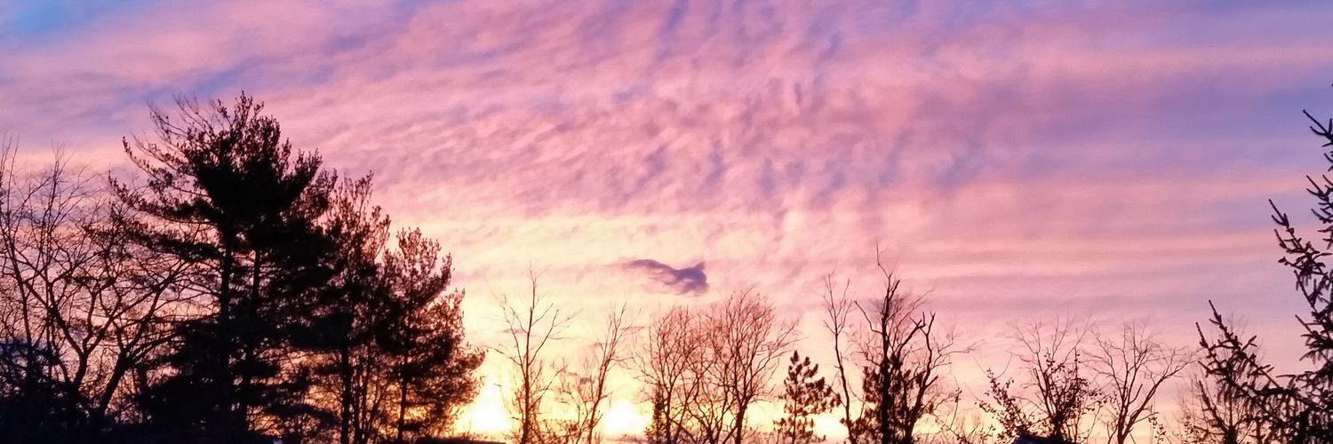 JoLo729's profile banner image