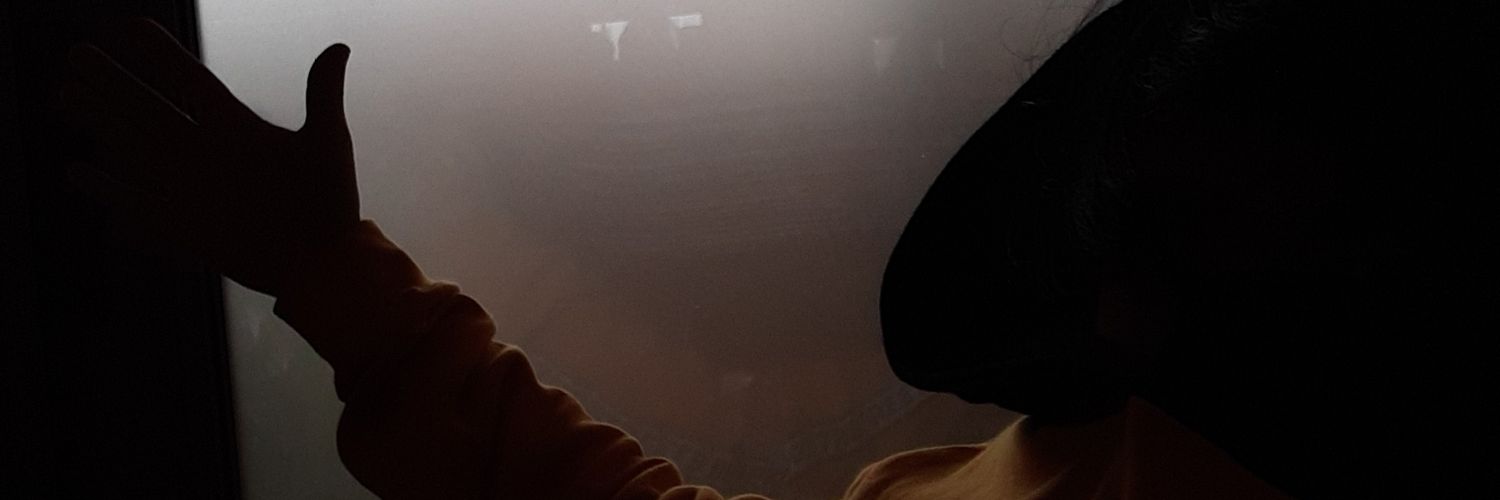 MadZephs's profile banner image