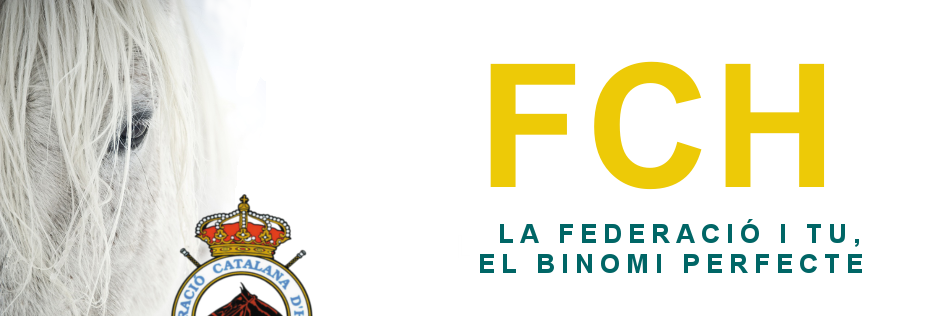 FCHipica's profile banner image