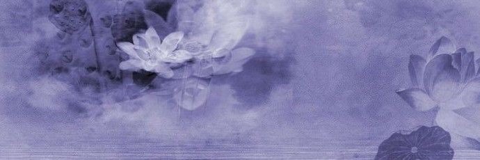 vautourie's profile banner image