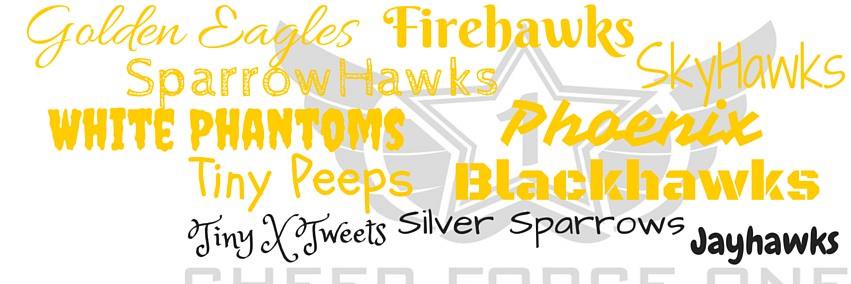cheerforceoneOH's profile banner image