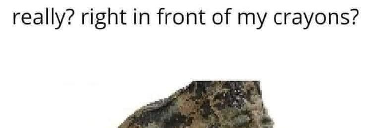 JubBeezy's profile banner image