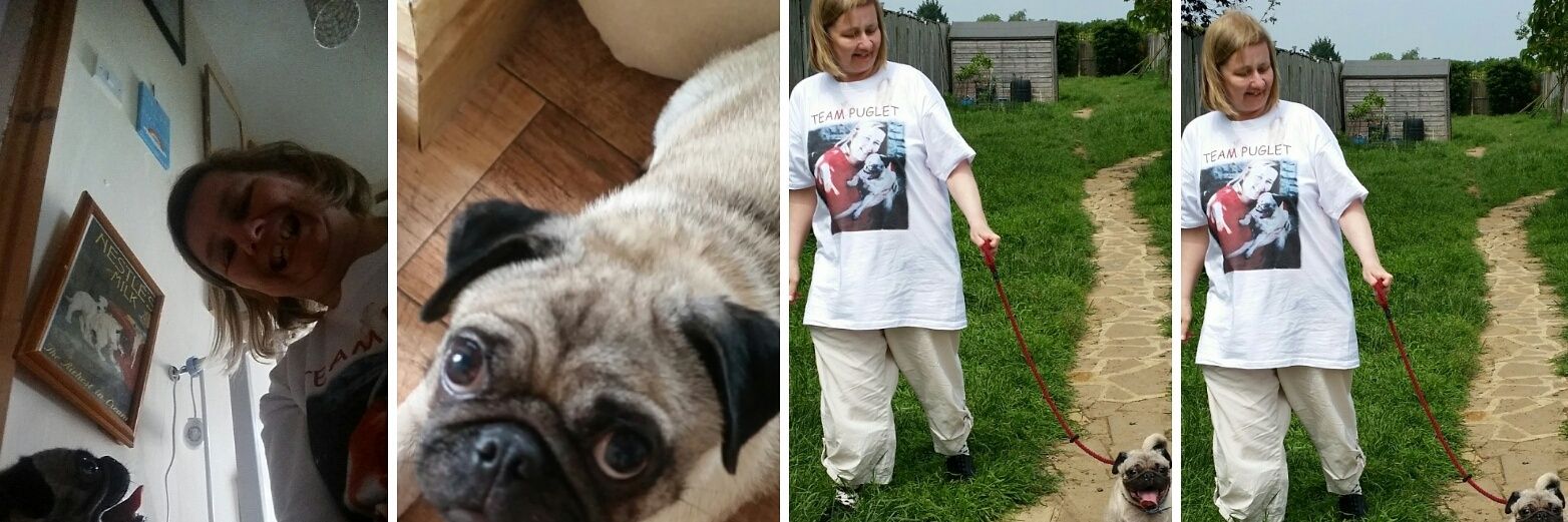 TeamPuglet's profile banner image
