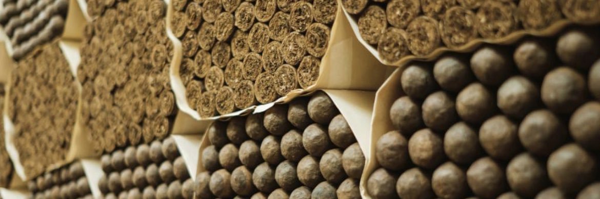 John Strange MIH banner