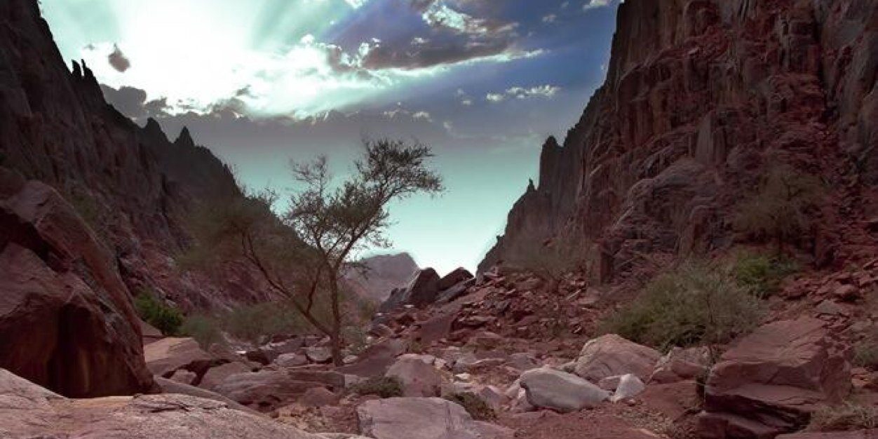 فارس بني همام banner
