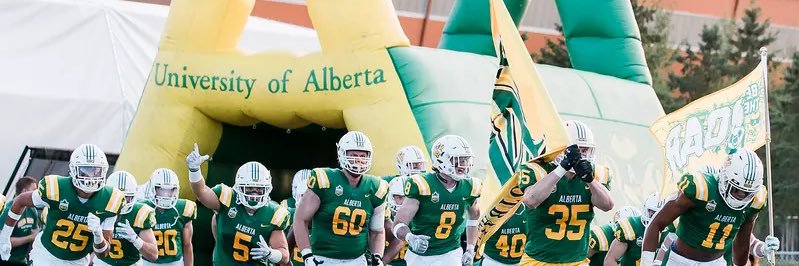 Stevenson Bone banner