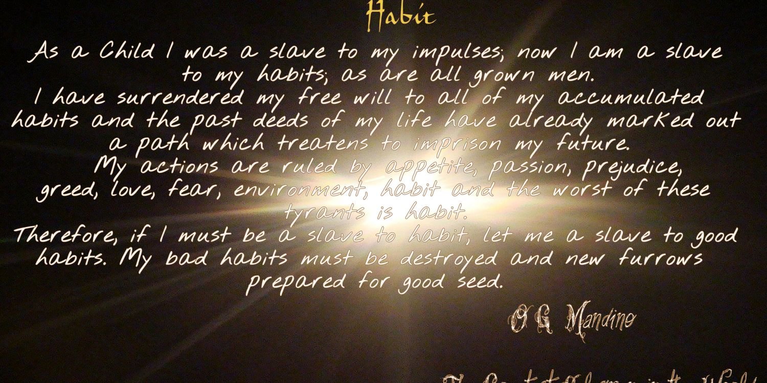 LambastingLibs's profile banner image