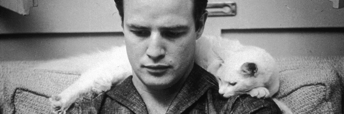 Gabriel Muñoz banner