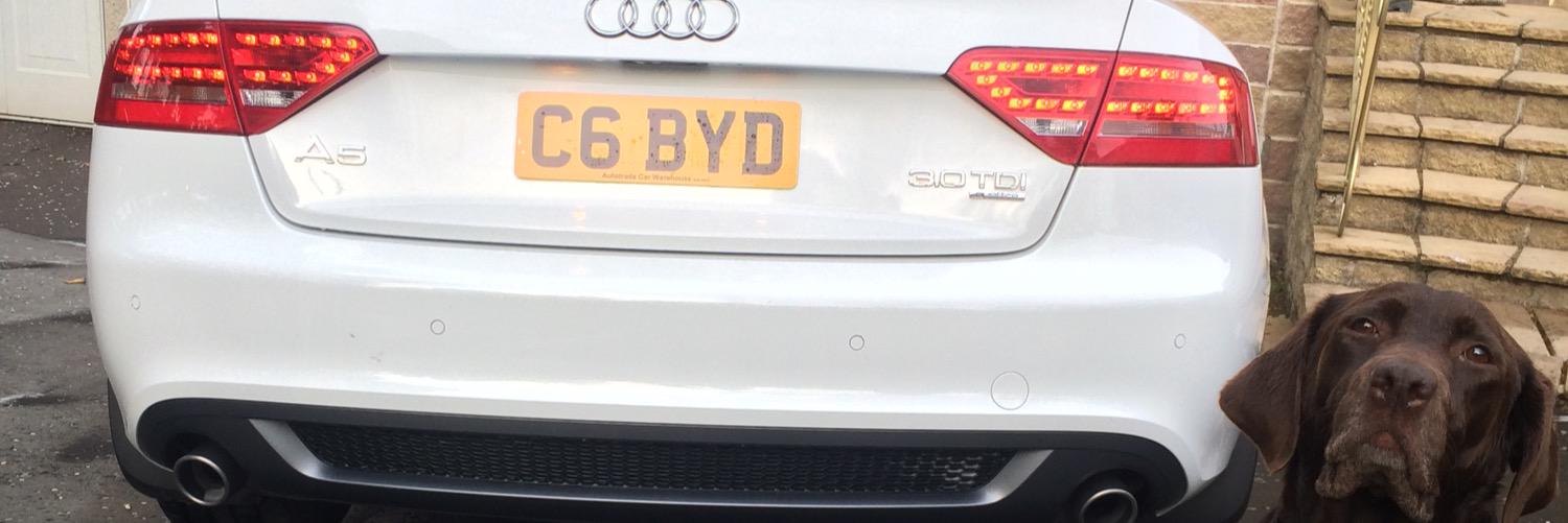 Callum Boyd banner