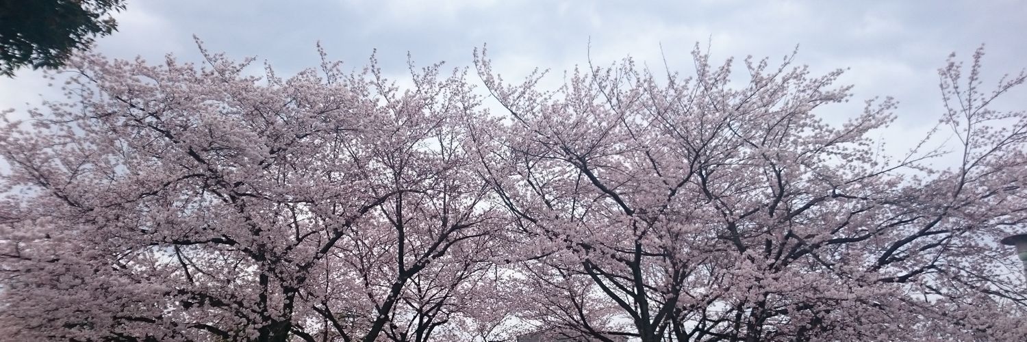 mamoma08's profile banner image