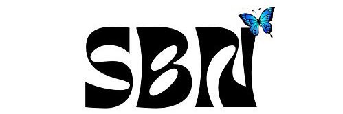SBN banner