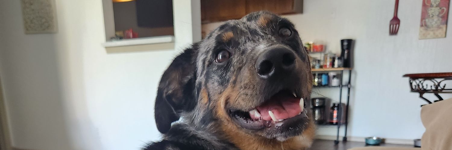 laniesbrown's profile banner image