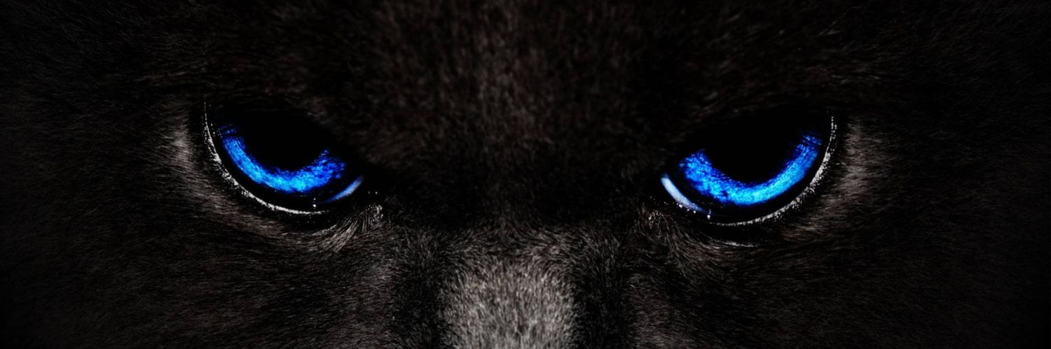Alex_Mzito's profile banner image