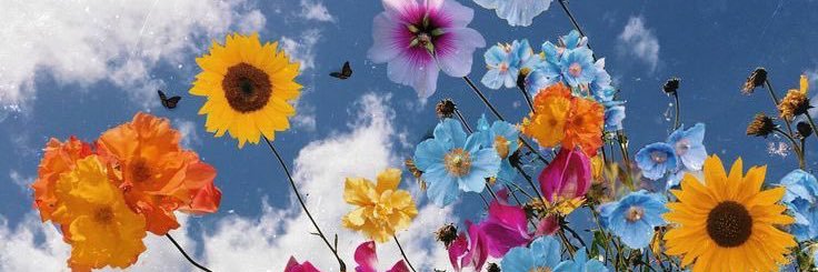 _veronicavd's profile banner image