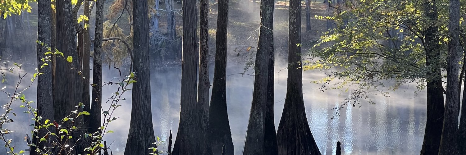 landry_collins's profile banner image