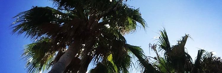 PaigeHind's profile banner image