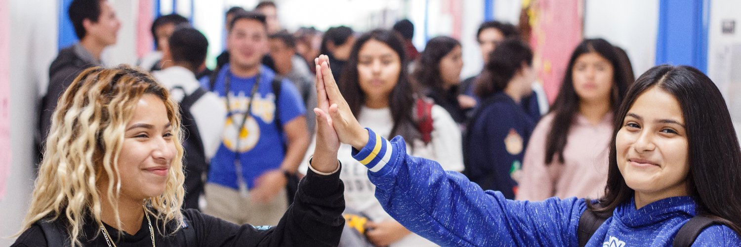 CollegeSpring banner