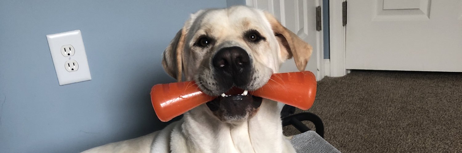 Connor Lilley banner