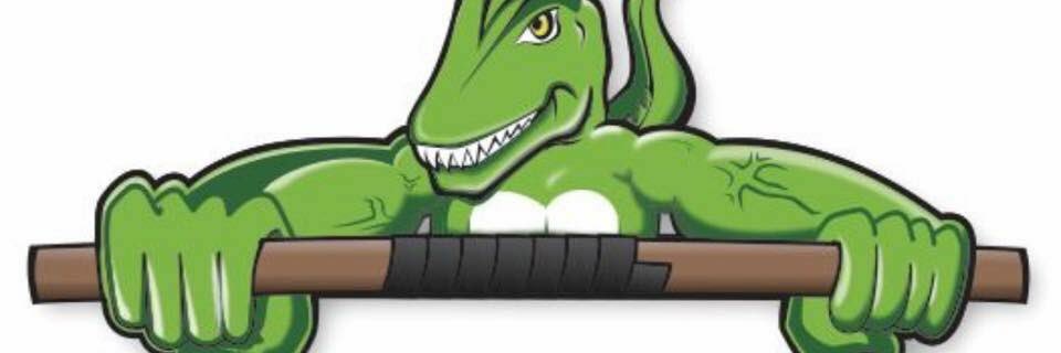 raptorwrap's profile banner image