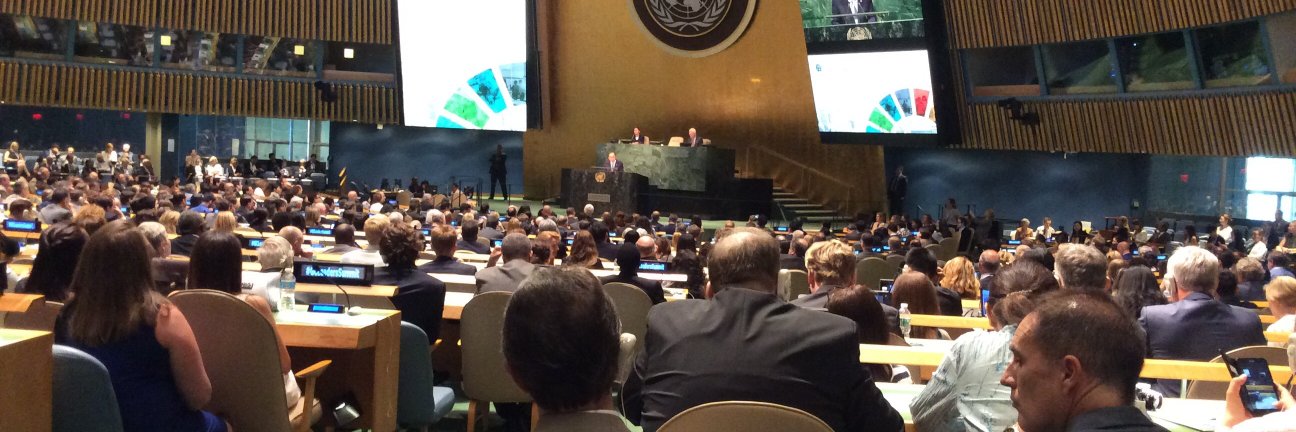 Antonio Hautle banner