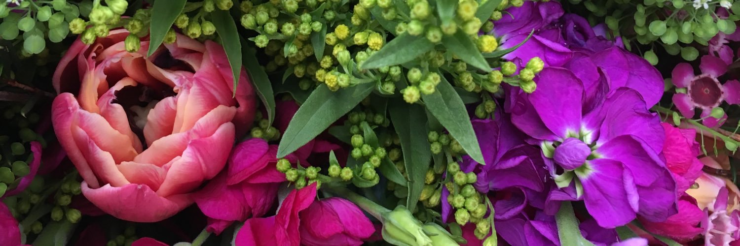 JoFisherTweets's profile banner image